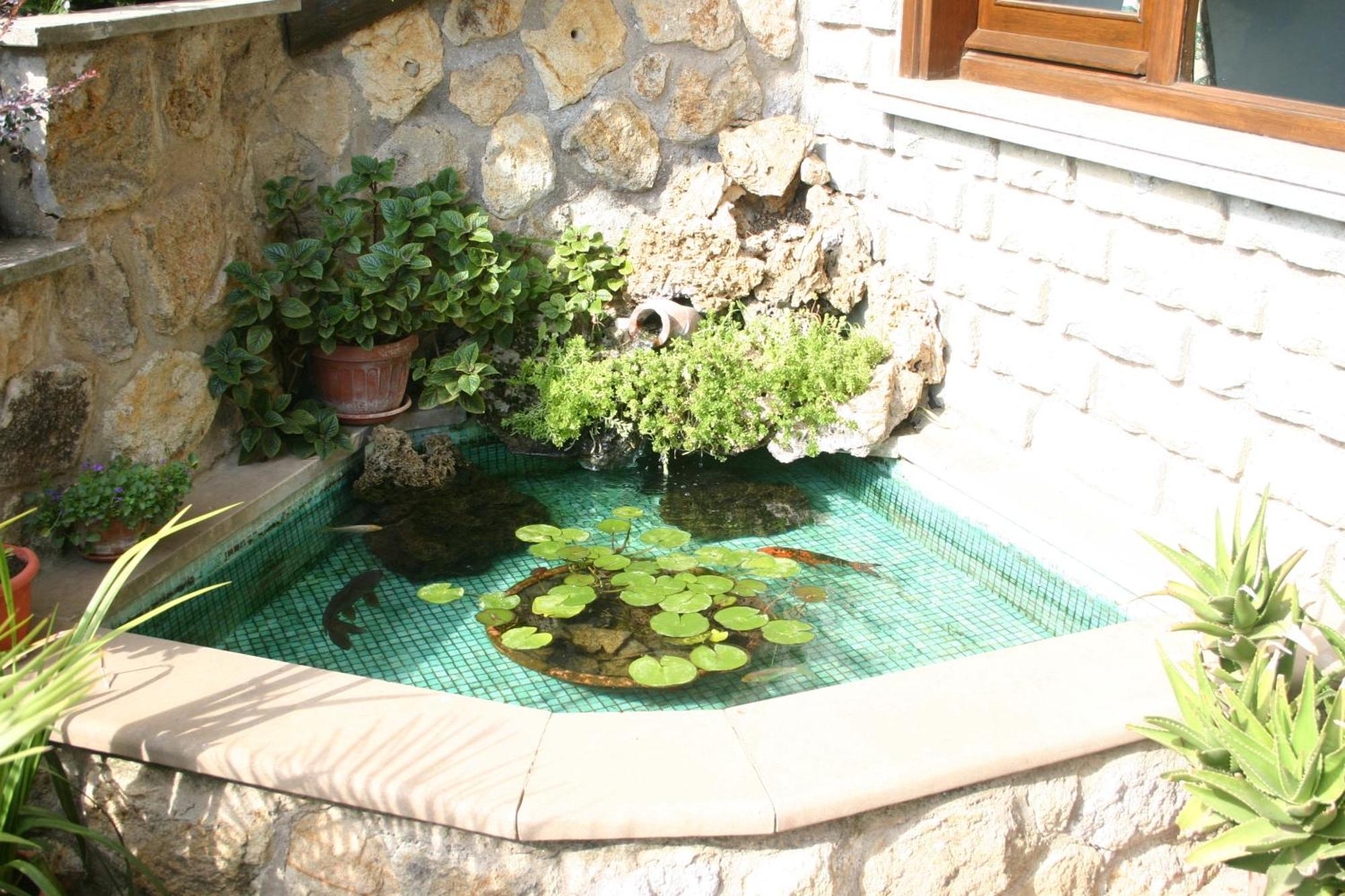 B&B Le Palme Bassano Romano Exteriör bild